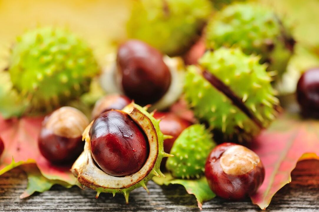 Horse chestnut treats chronic prostatitis